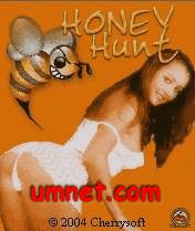 game pic for Honey Hunt